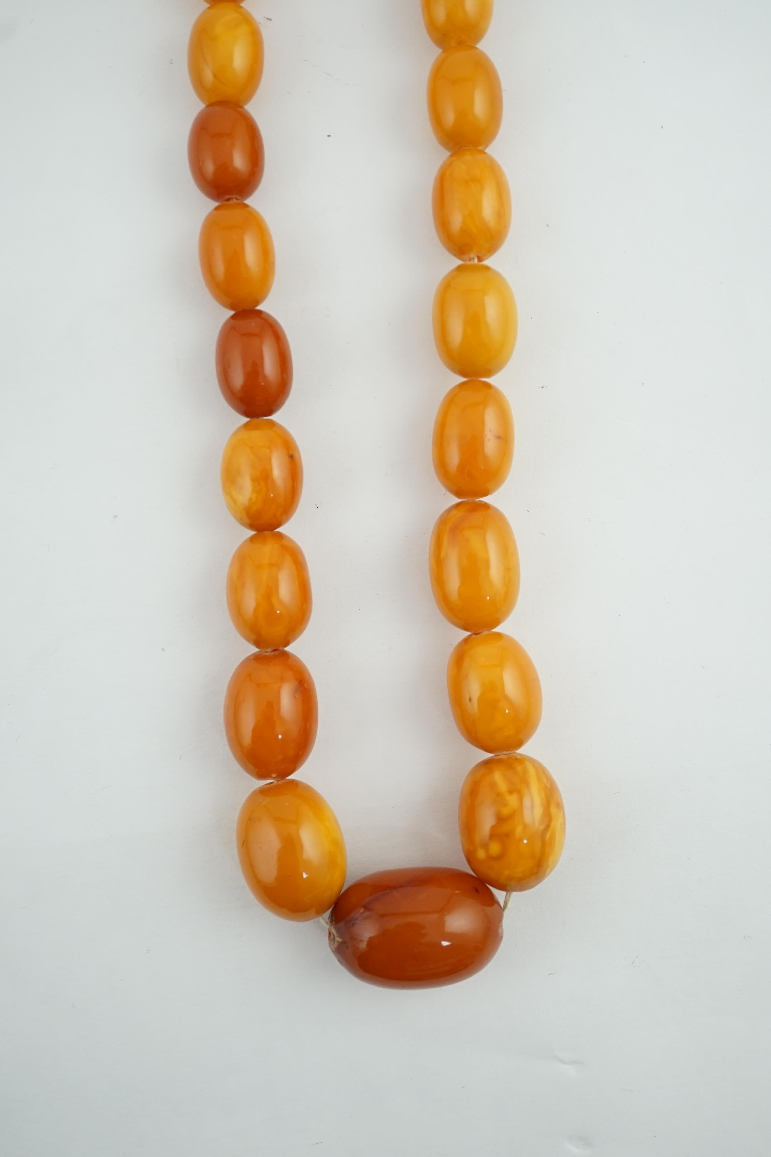 A single strand graduated oval amber bead necklace